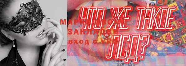 apvp Алзамай