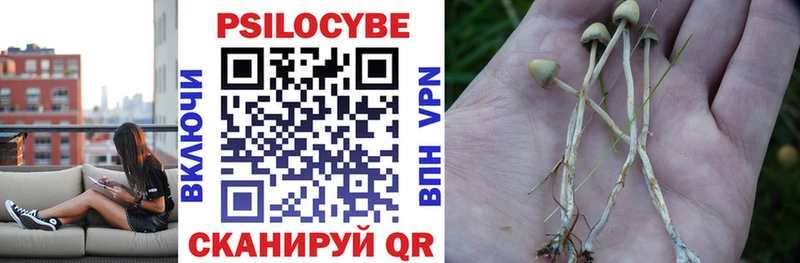 Галлюциногенные грибы прущие грибы  Учалы 